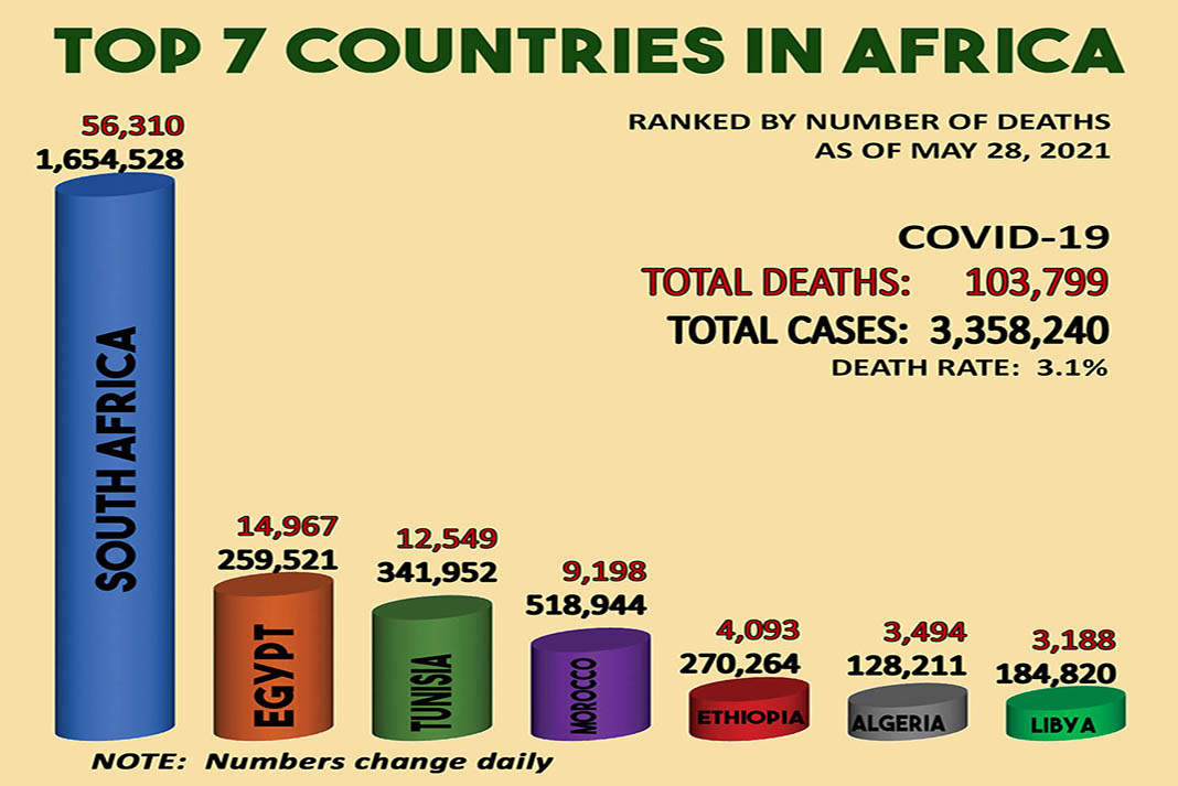 Africa has the lowest covid numbers - Top 7 countries in Africa